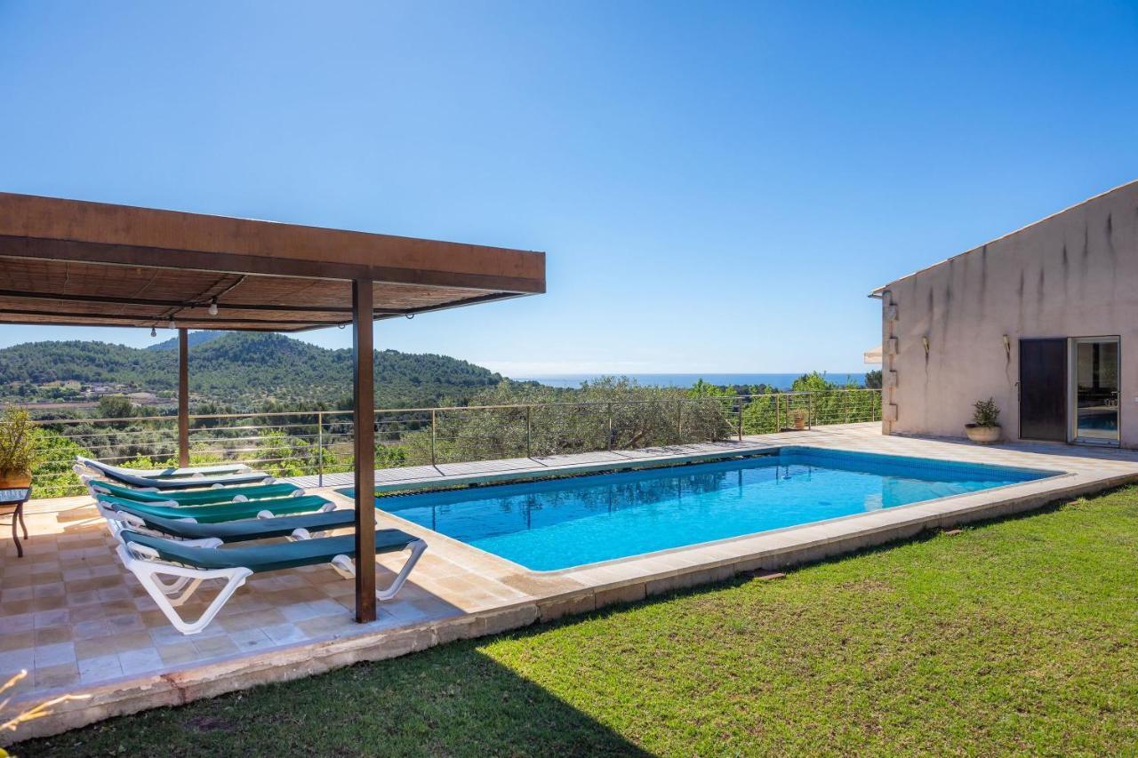 Bionic Villa Arta